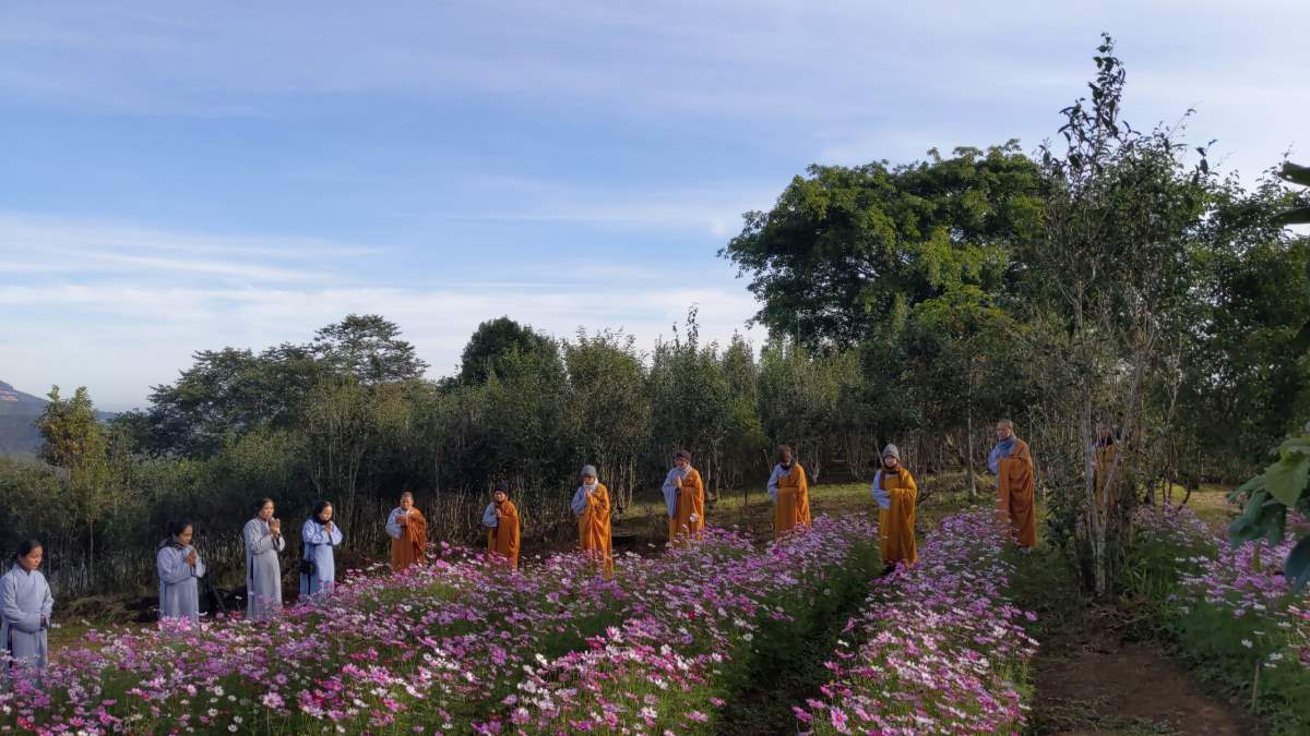 Tinh Hoa NIKAYA Giảng Giải 2 - Dẫn Nhập - Toàn Cảnh Thế Giới Tinh Hoa NIKAYA Giảng Giải 2 - Dẫn Nhập - Toàn Cảnh Thế Giới