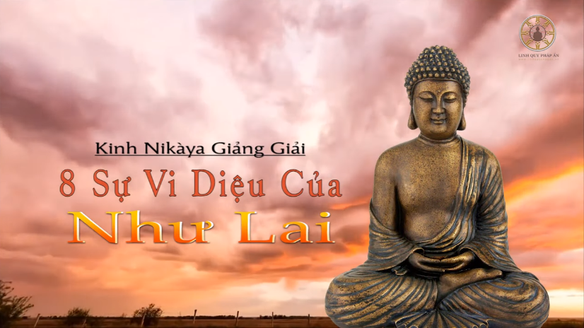 Kinh NIKAYA Giảng Giải - 8 Sự Vi Diệu Của Như Lai Kinh NIKAYA Giảng Giải - 8 Sự Vi Diệu Của Như Lai
