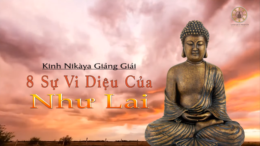 Kinh NIKAYA Giảng Giải - 8 Sự Vi Diệu Của Như Lai 