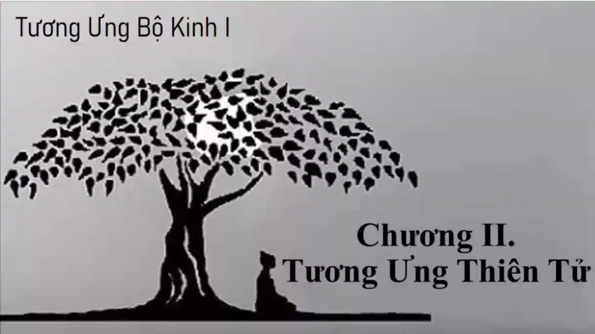 TỤNG TẠNG KINH NIKAYA 4 - Tương Ưng Bộ 1 - Chương II Tương Ưng Thiên Tử -  Phẩm Các Ngoại Đạo