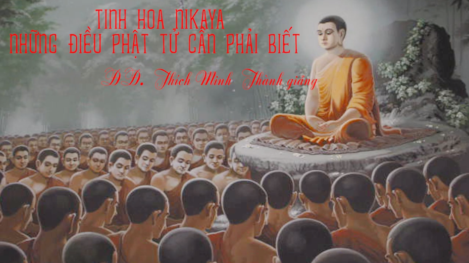 TINH HOA NIKAYA - NHỮNG ĐIỀU PHẬT TỬ CẦN PHẢI BIẾT