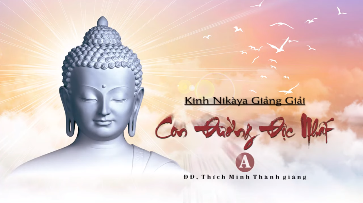 Kinh NIKAYA Giảng Giải - Đánh Thức Tâm Mê Kinh NIKAYA Giảng Giải - Đánh Thức Tâm Mê