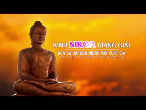 Kinh NIKAYA Giảng Giải - Bốn Sợ Hãi Của Người Mới Xuất Gia Kinh NIKAYA Giảng Giải - Bốn Sợ Hãi Của Người Mới Xuất Gia