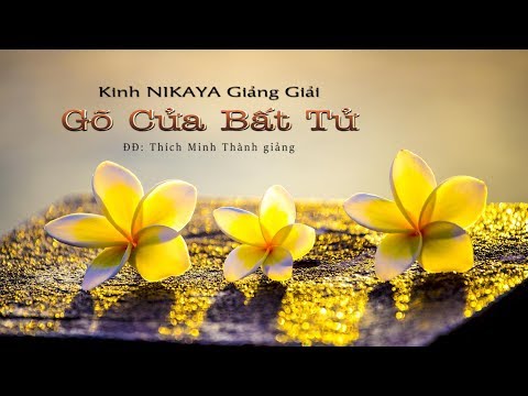 Kinh NIKAYA Giảng Giải – Gõ Cửa Bất Tử Kinh NIKAYA Giảng Giải – Gõ Cửa Bất Tử