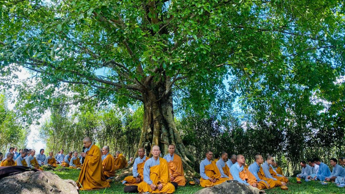 NIKAYA Khất Thực - Thương Đúng Cách & Cách Lạy Phật Diệt Bản Ngã NIKAYA Khất Thực - Thương Đúng Cách & Cách Lạy Phật Diệt Bản Ngã